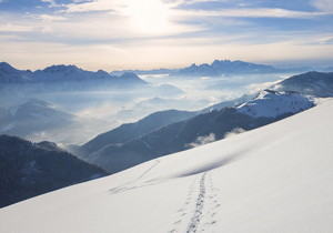 Cursor AI编程助手使用技巧