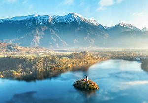 Cursor AI编程助手使用技巧