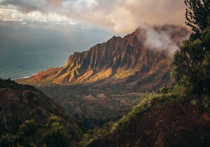 Cursor AI编程助手使用技巧