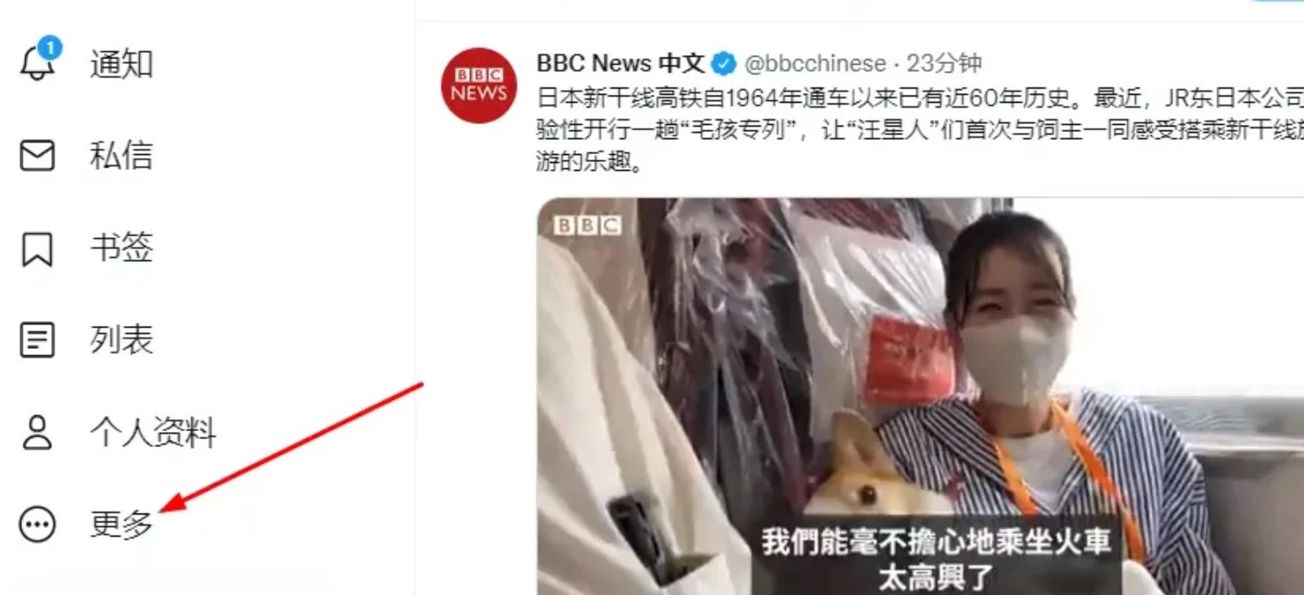 手把手教你解决推特 twitter无法翻墙,规避手机注册,敏感内容等问题-微丽宝 手把手教你解决推特 twitter无法翻墙,规避手机注册,敏感内容等问题-微丽宝