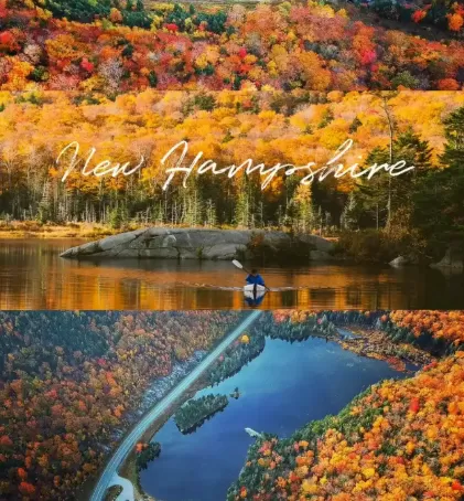 微信公众号的视频怎么下载?新手用户也可以轻松学会