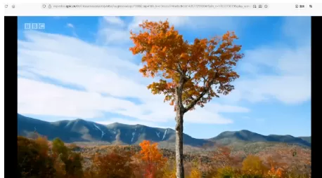 微信公众号的视频怎么下载?新手用户也可以轻松学会-微丽宝 微信公众号的视频怎么下载?新手用户也可以轻松学会-微丽宝