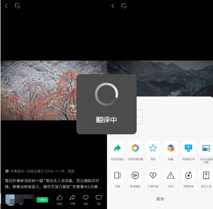 2025年亲测！视频号在线下载工具使用教程-微丽宝