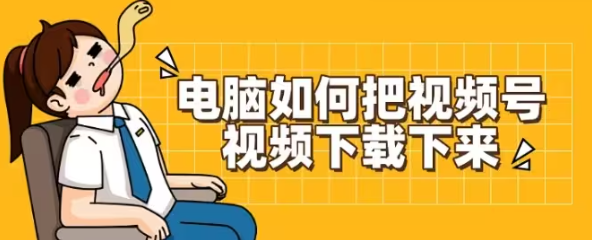 电脑如何把视频号视频下载下来?3种办法教你快速保存视频